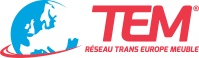 TEM